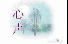 倾听他人心声，何处能变现为财富？