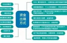 如何通过合法途径利用自身技能获取收益？