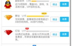 绿色版QQ超级会员，究竟有哪些神秘用途？
