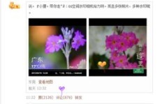 刷不到QQ动态，难道是无形的屏蔽？我的动态去哪了？