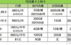 如何低价获取QQ业务网站流量？流量卡超值选择在此！