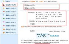 在线自助刷QQ会员是否触及法律红线？