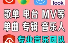 如何使用QQ音乐刷粉丝软件？QQ音乐VIP身份速成真的可靠吗？