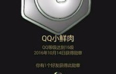 如何高效刷取手机QQ勋章墙？快速提升勋章收藏！