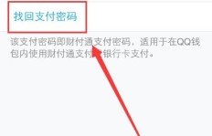 如何解决QQ钱包刷码支付时遇到的密码错误问题？