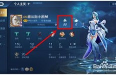 王者荣耀人气值代刷服务价格是多少？