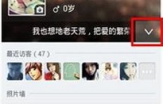 如何实现24小时QQ快速刷赞？