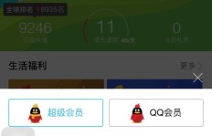 QQ会员显示好友代付，这是怎么回事？