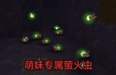 火虫QQ刷币器与萤火虫QQ刷币，哪个更具优势？