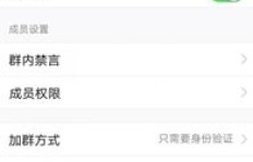 如何查看QQ群发言排行榜？刷群发言排名的小技巧