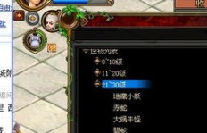 如何在QQ幻想中高效刷级和练级？