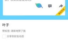 如何高效进行QQ点赞代刷？是否安全可靠？