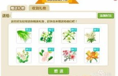 如何轻松刷QQ业务币？掌握正确方法与技巧