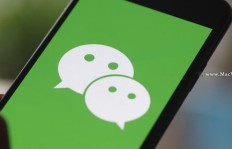如何更换QQ壁纸？找到更换入口的秘诀在这里！