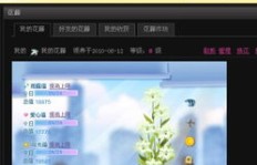 如何快速提升QQ花藤经验值，它的最高等级究竟是多少？
