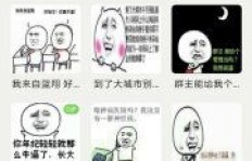 想要自动斗图却无从下手？这款QQ斗图软件能帮你吗？