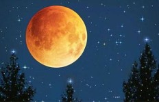 QQ月亮与星星月亮，如何刷出独特的夜空风采？