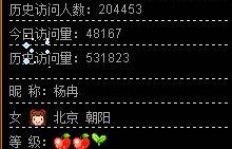 寻找QQ空间刷访问量的群聊，有谁知道这样的神秘组织？