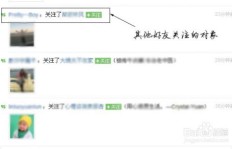 如何有效提升QQ好友数量？最快的方法是什么？