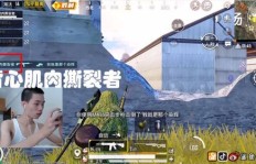 QQ和平精英刷鲨鱼功能叫什么名字来着？