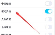 如何通过QQ匿问我答高效刷赞和浏览量？