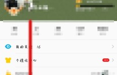 QQ巨轮标志能否手动刷出？