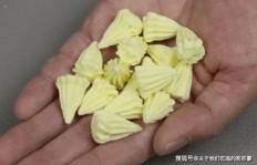QQ旧友动态消失无踪？为何无法刷新查看？