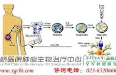 网购QQ等级，真实性如何保证？操作安全吗？