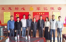 QQ萌宠刷金币秘密，这些金币到底能做什么？