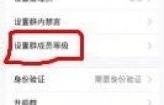 如何在QQ群里迅速提升头衔？快速升级攻略探讨