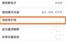 手机QQ消息更新缓慢怎么办？常见刷不出消息的解决方案？