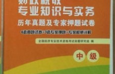 电脑专家如何通过专业技能实现高收入？