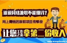 如何在众多网赚平台中精准挑选，哪个才是最适合我的赚钱利器？