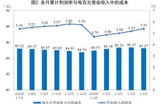 当前哪些地摊项目最具盈利潜力？如何选择高收益摊位？