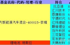 如何挑选新能源基金才能实现高效盈利？