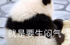 最新兼职副业动态，你跟上了吗？错过这些更新等于错过机会！