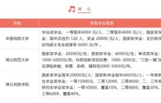 医学生读研期间如何兼顾副业？平衡学业与收入的秘诀是什么？