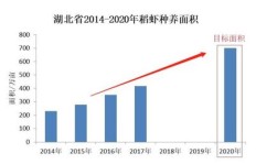 在云南养殖什么项目最具盈利潜力？
