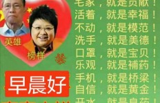 与朋友共学挣钱之道，是否明智之选？