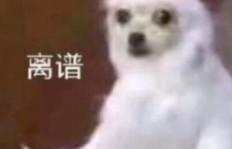 如何找到月入十万的靠谱副业？你知道吗？