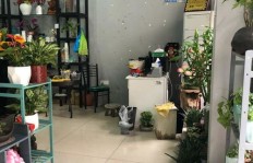 在当前市场环境下，开设鲜花店能否实现盈利？