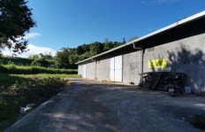 在四川农村，哪种工厂最能赚大钱？