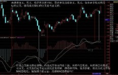 大学生炒股如何掌握盈利技巧？学习哪些知识才能赚钱？