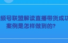如何通过副业实现盈利？成功案例解析