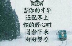 如何在QQ空间中刷出励志鸡汤，这里有秘诀吗？