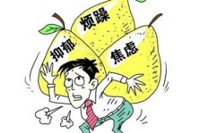 初二学生适合尝试哪些副业来提升自我能力？