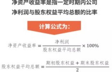 在家政行业中，哪一类公司盈利能力最强？