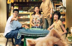 哈佛学子竟兼职狗熊表演？背后隐藏着怎样的故事？