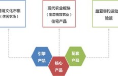 地推项目如何高效盈利？图片案例全解析