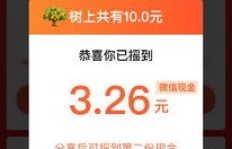 如何在拼多多快速提现，助你轻松变现？